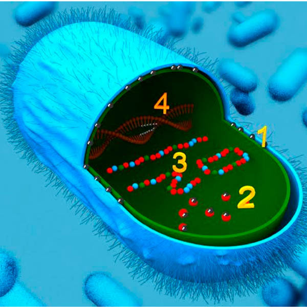 Anti-Microbial formulations